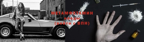 прущие грибы Абдулино