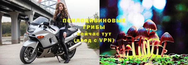 прущие грибы Абдулино