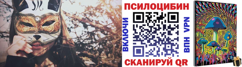 купить  сайты  Белый  Псилоцибиновые грибы Psilocybine cubensis 